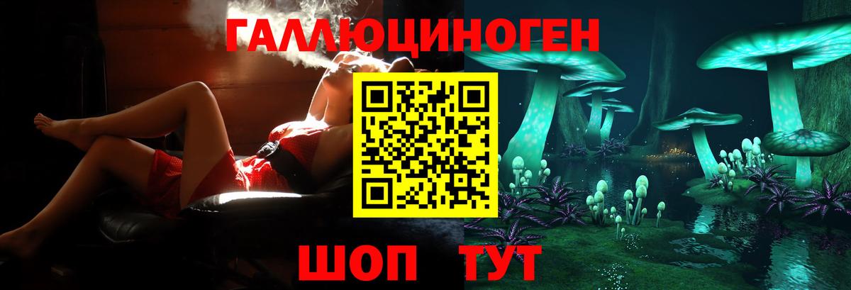 Псилоцибиновые грибы GOLDEN TEACHER Отрадный