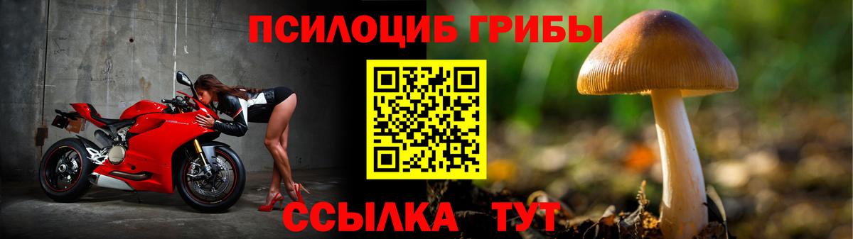 Псилоцибиновые грибы мухоморы  Псилоцибиновые грибы мицелий  Отрадный  Вход с VPN 